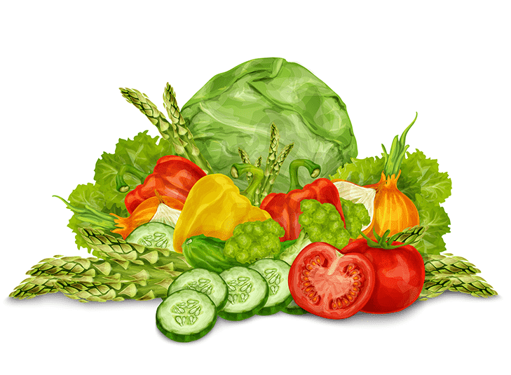 Carottes
